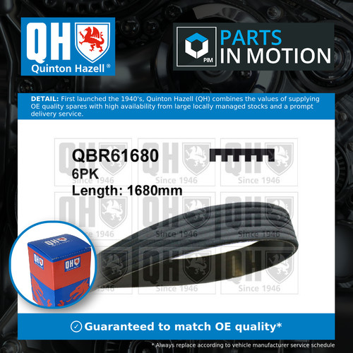 Rib multi drive belt fits - rib,