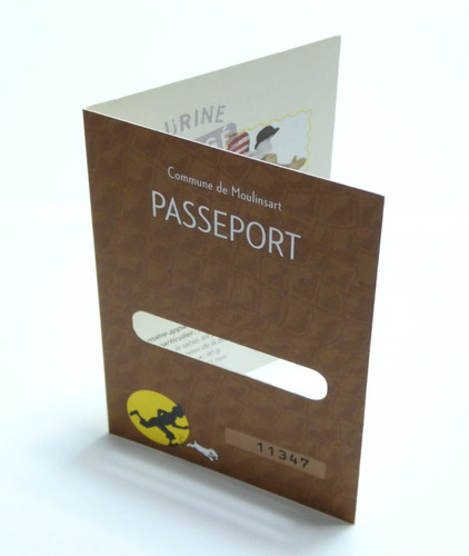 Passeport dupont baigneur - dupont, en