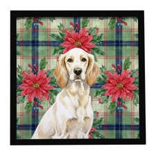 Lemon Belton English Setter