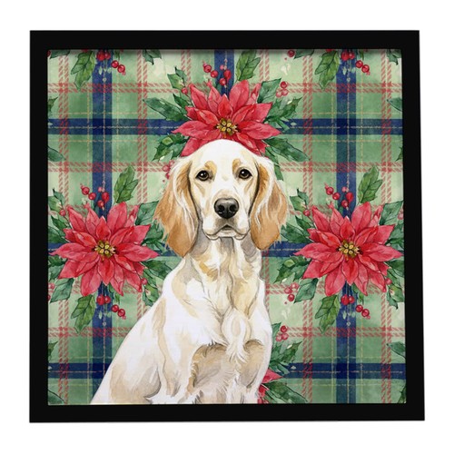Lemon belton english setter - belton,