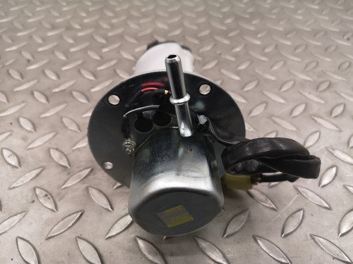 Kawasaki pompe de - pompe,