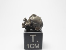 2.38 g Golden Pallasite Meteorite