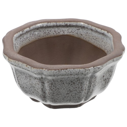 Mini pot fleurs - de, succulentes