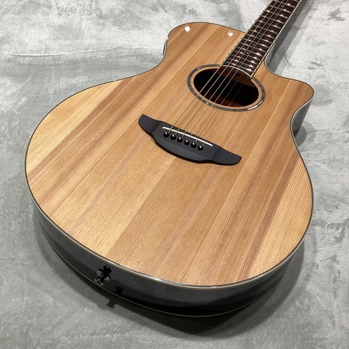 Yamaha apx600nt - apx600nt, (no260604)