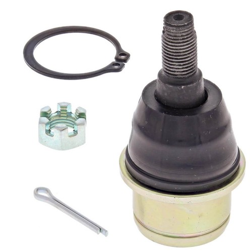 Can 500 650 - am, 1000