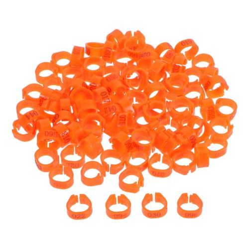 100 pcs pigeon - pigeon, de