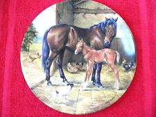 Assiette Porcelaine CHEVAL et son POULAIN - Porcelain plate HORSE WITH BABY