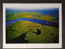 MANGROVES EVERGLADES YANN ARTHUS BERTRAND  photo document cutout 