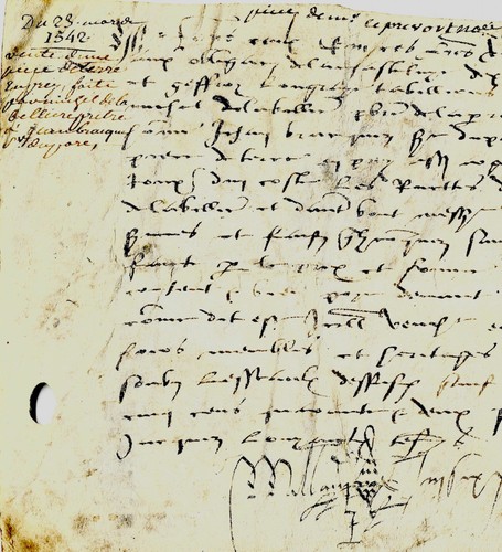 1542 manuscrit parchemin - parchemin, à