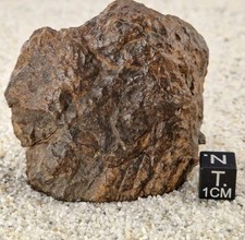Meteorite NWA 17426 Chondrite