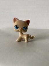 Authentique Littlest Petshop Chat Européen #228