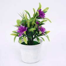 Succulent D��corations