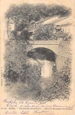 CPA ALGERIE BLIDA LES GORGES