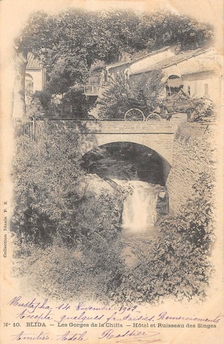 Cpa algerie blida les - algerie, gorges