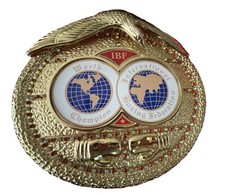Ibf World Boxe Champion
