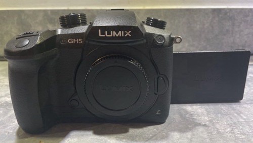 Panasonic lumix gh5 hybride - panasonic,