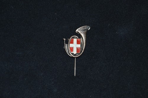 Insigne amicale chambery - amicale,