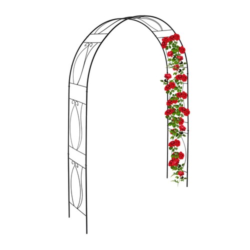 Arche rosier pergola - rosier,