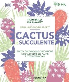 Cactus succulente scelta - e,
