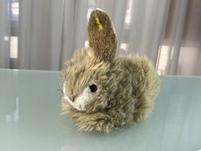 Peluche Steiff animal