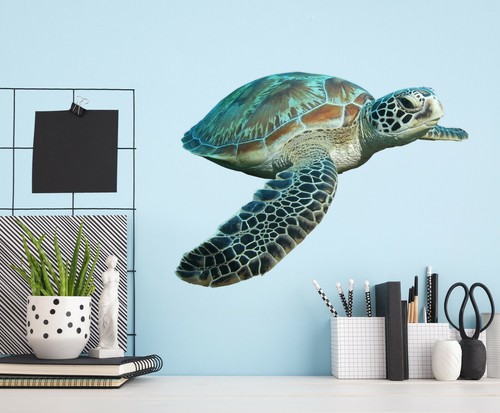 Tortue c25 animal - tortue,