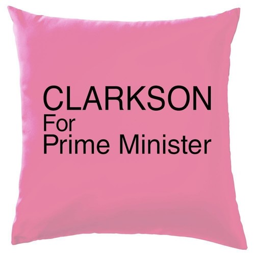 Coussin 41cm 100 coton - x, 100%