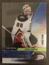 2020/2021 Upper Deck Synergy