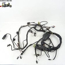 Faisceau électrique Triumph