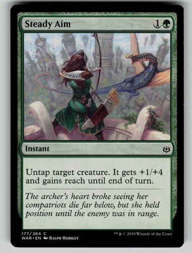 Steady aim 177 war - steady,
