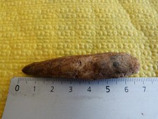 Fossile deent Spinosaure