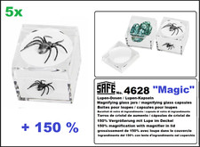 5 Boîtes À Loupe Insectes
