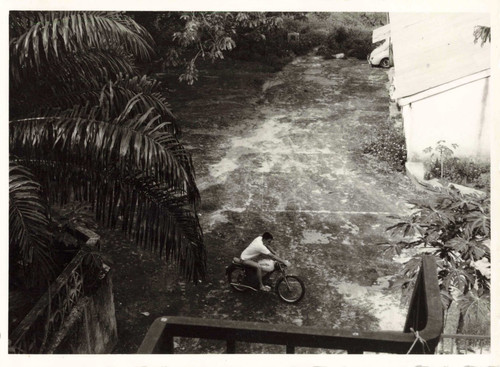 Ancienne photographie jeune - photographie,