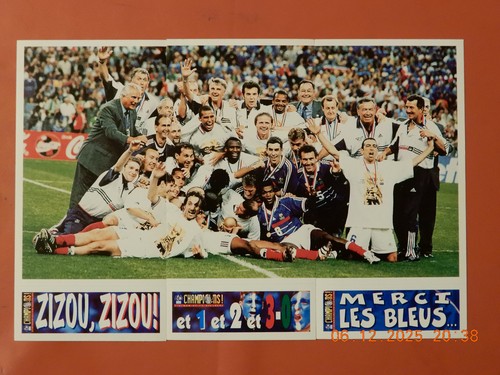 Panini champions fifa - panini,