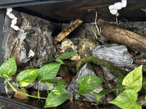Terrarium start kit - start, kit-large