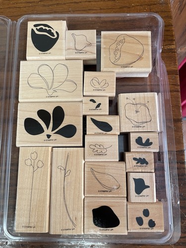Vintage stampin awash - vintage, up!