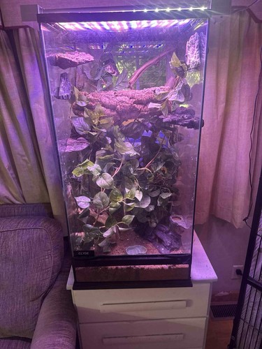 Exo terra glass terrarium - exo,