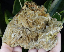 Belle Baryte Miel France