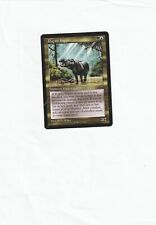 Pygmy Hippo-Visions edition 1996-Magic TG-NM