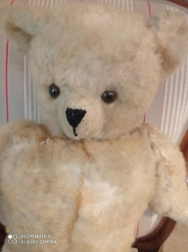 Ours en peluche ancien - ,