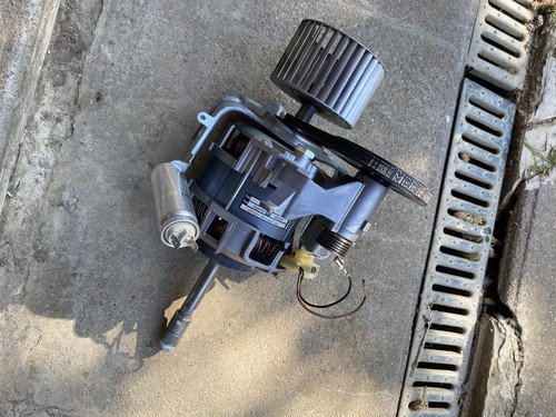 Moteur sèche linge miele - moteur,
