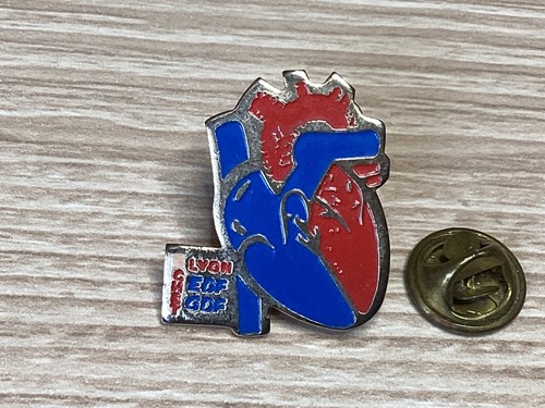 Pins edf gdf lyon chst - gdf,