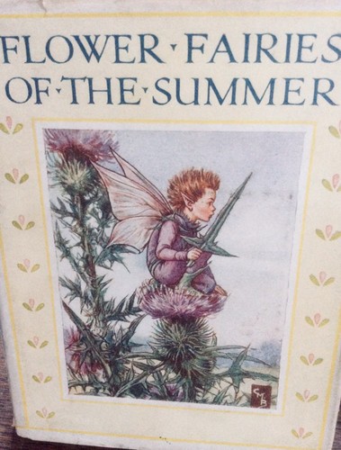 Cicely mary barker flower - -,