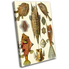 Bontanical Fish Ocean Vintage