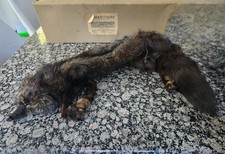 Vintage étole / écharpe/ col