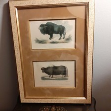 GRAVURES ANCIENNES XIXème