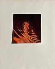 Martine GENTY - photographie