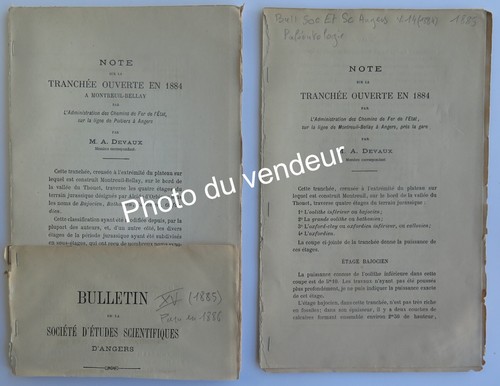 Ammonites devaux 1885 sur - ammonites:, devaux,