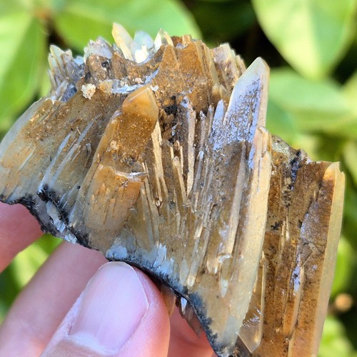 Baryte barytine bleue - -, nador