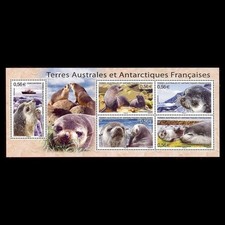 TAAF Bloc feuillet n°23 année 2010 Timbres  Neuf ** sans charnière