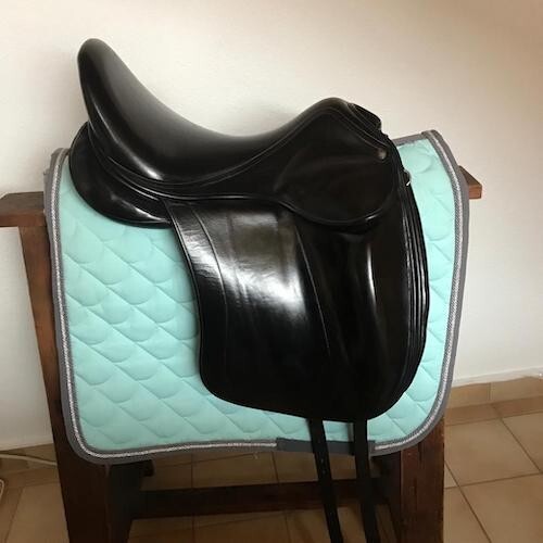 Roomy gullet 17 - 17.5, childeric